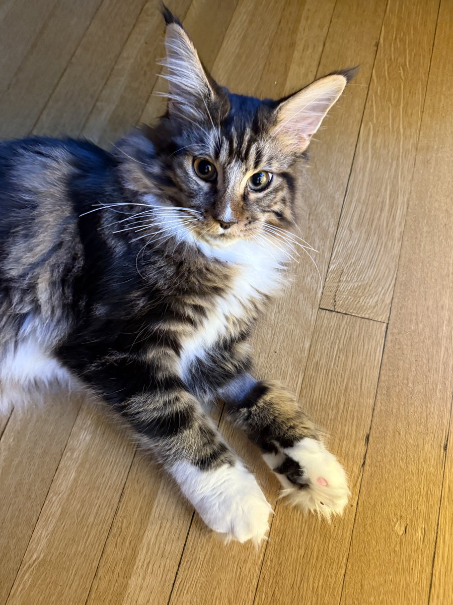 Benjamin Morgan tweet media