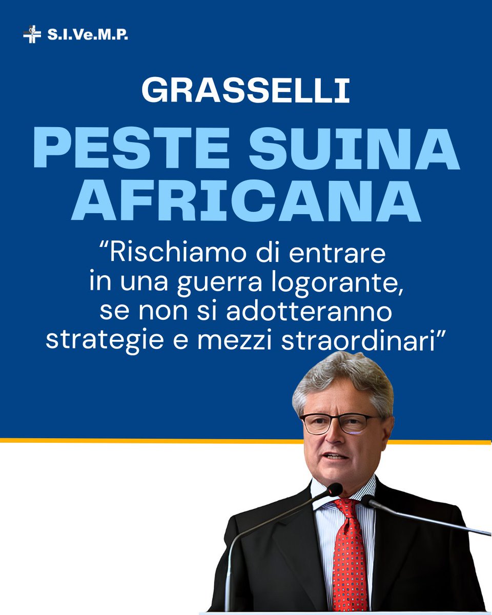 SIVeMP_Naz's tweet photo. Interventi settoriali, scoordinati, tardivi e “al risparmio” possono costare molto cari all’intera filiera https://t.co/srnLHdJsar 
#PSA #pestesuina #pestesuinaafricana #ssn #veterinari #mediciveterinari https://t.co/bhNqcXrCBL