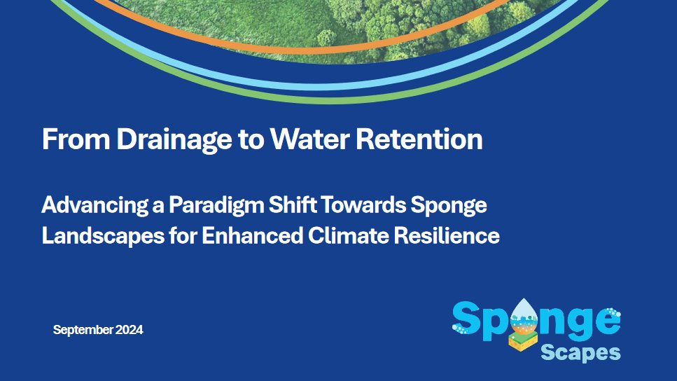 SpongeScapes tweet media