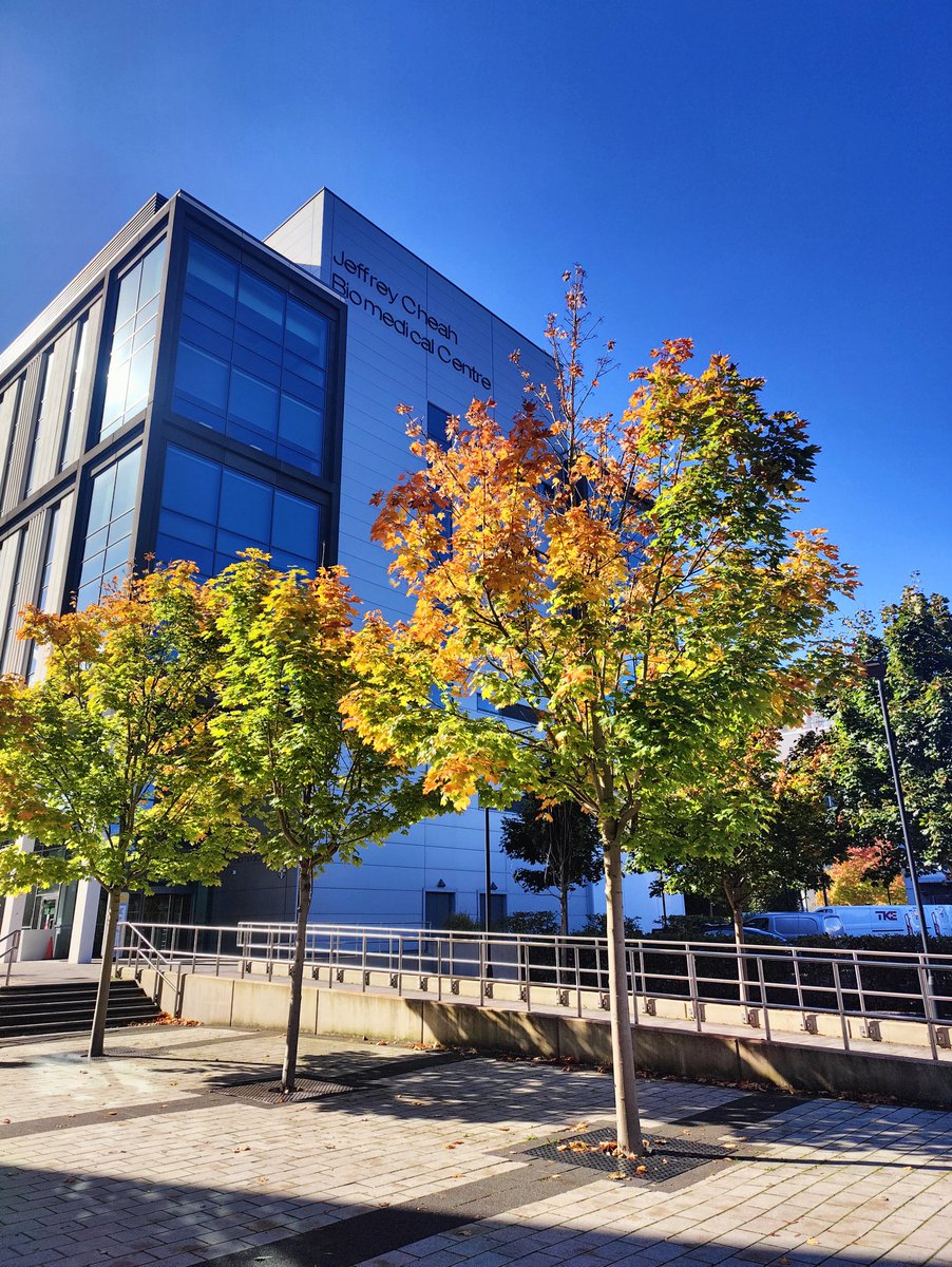 What a lovely time of year!