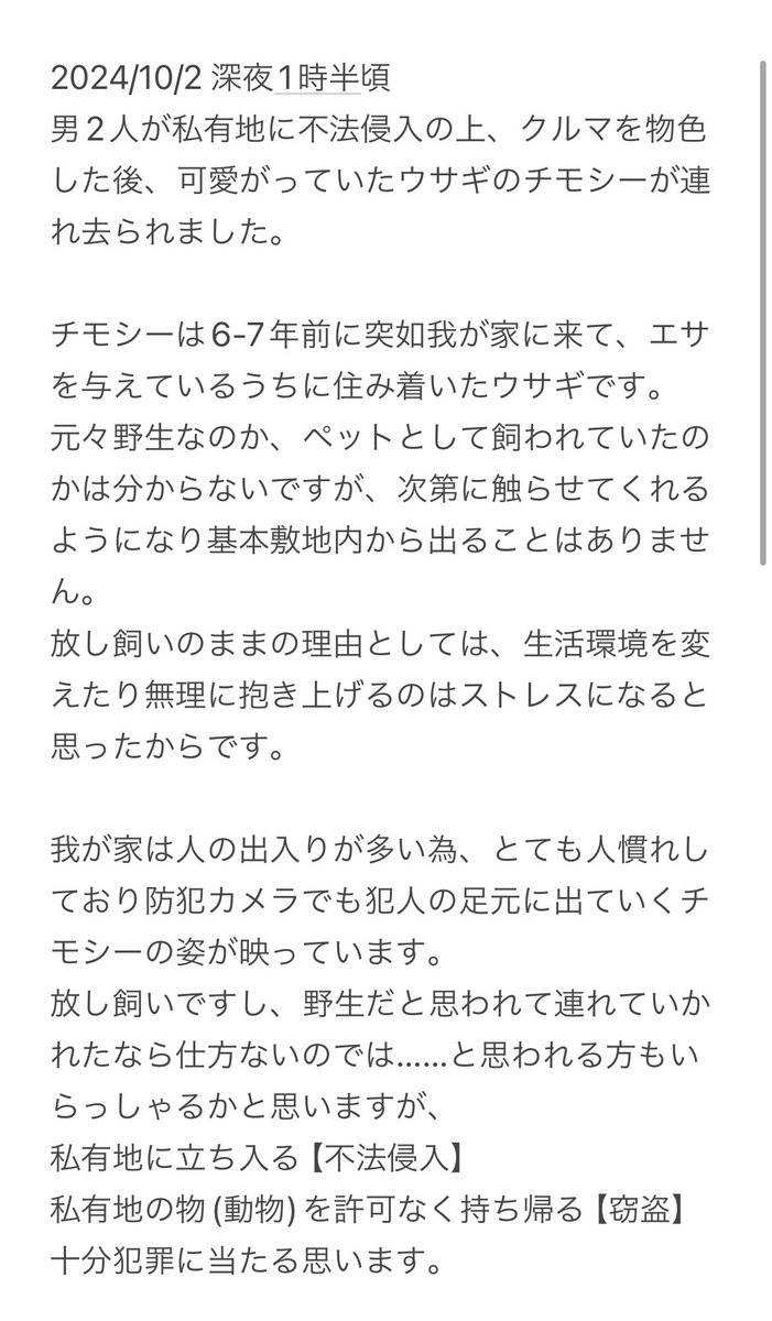 __rabbittimothy's tweet photo. 《《《拡散希望》》》
昨日深夜、2人組の男によって可愛がっていたウサギのチモシーが連れ去られました。
この投稿をすることのリスクなど恐い気持ちもありますが、このような形でのお別れは嫌です。
拡散方法など分からないためご協力いただけますと幸いです。
#うさぎ #ペット探してます https://t.co/wy9NQBB3Kn