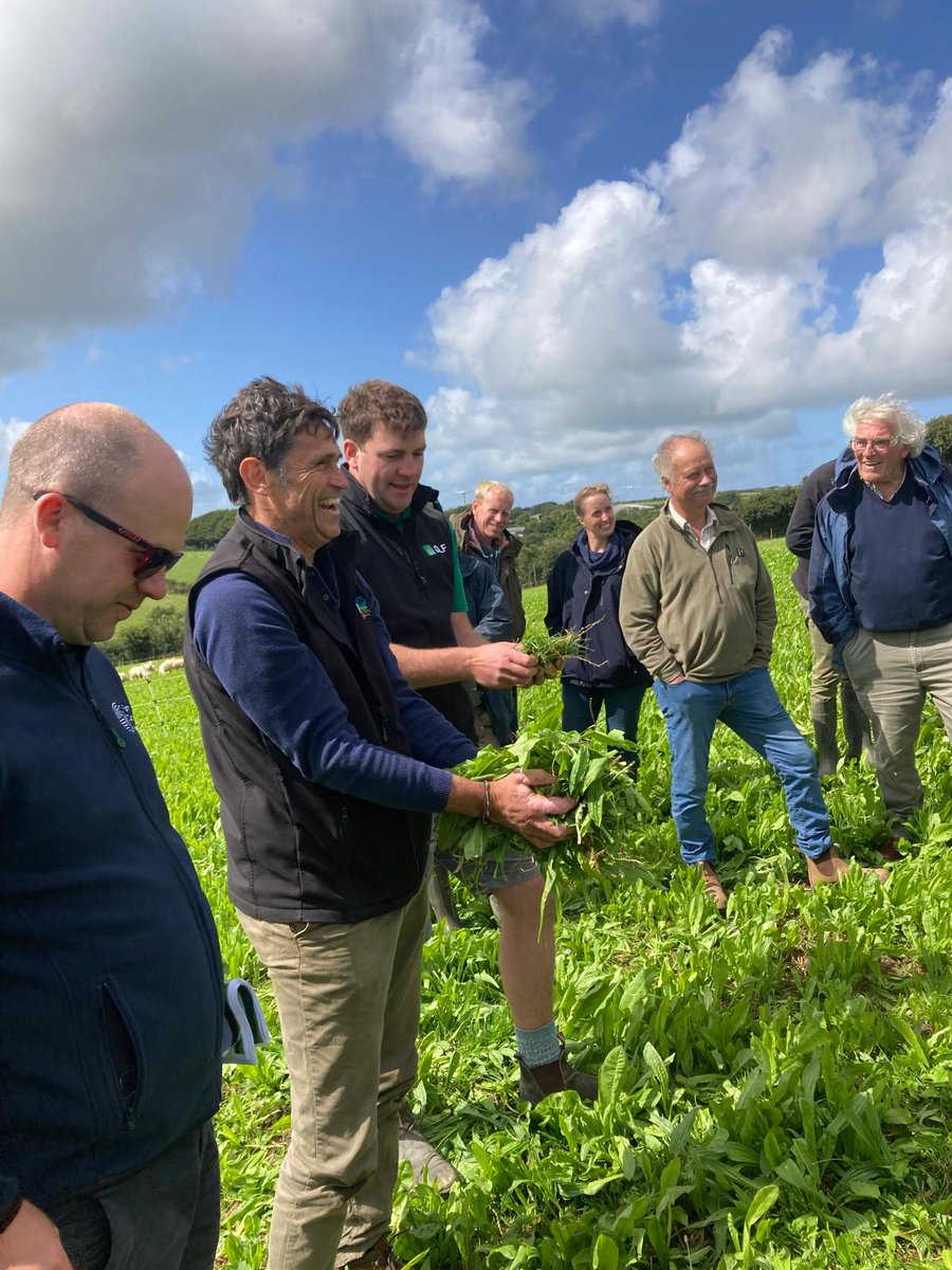 Calling all sheep farmers🐑

Join us and <a href="/FarmCO2Toolkit/">Farm Carbon Toolkit</a> at Higher Thornton Farm, Devon, on Tues 12 Nov for an afternoon learning about how protein-rich, diverse leys can influence lamb resilience to worms &amp; enhance production

Register here: innovativefarmers.org/events/forage-… #FarmNetZero