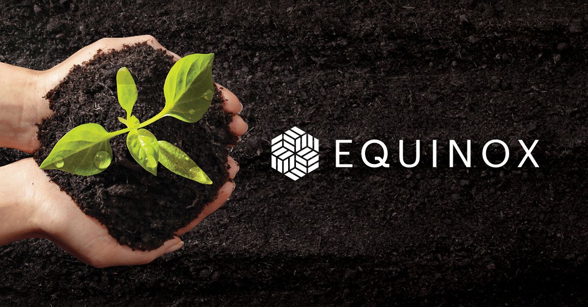 Plant the seeds for your children's financial future!🌱
Create a lasting legacy with pensions, Lifetime ISAs and Junior ISAs that grow just as they do.
Ready to help them grow? equilibrium.co.uk/library/planti…