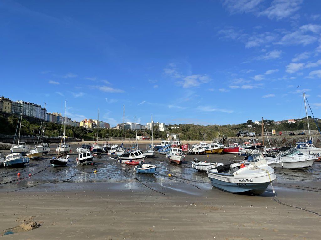 Fran Thomas tweet media