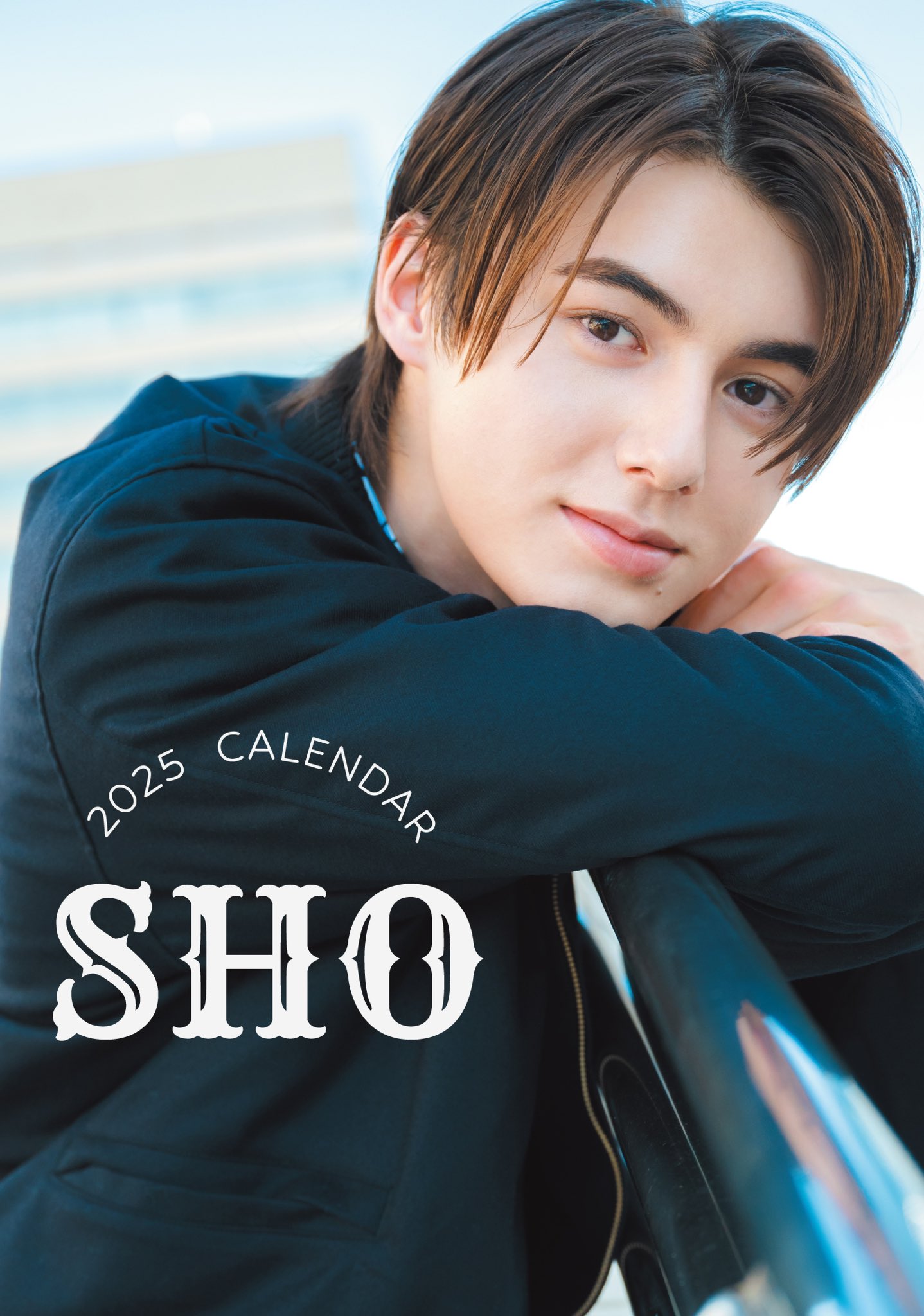 翔龍 5箱（50本） 2025年開運卓上カレンダー付き 銀座まるかん 翔龍（SHORyu）5箱（50本）セット | 銀座まるかん専門店 オーロラ