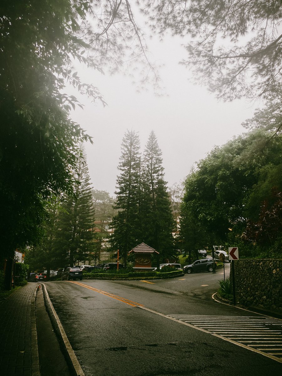 Aaroncado's tweet photo. The fog may blur the path ahead, but the journey is always worth it. https://t.co/RALCXksfd4