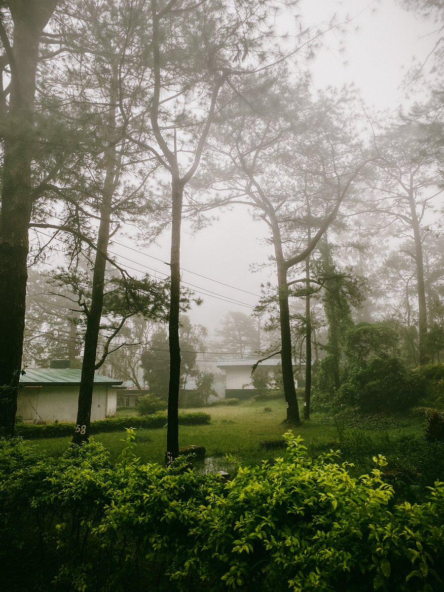 Aaroncado's tweet photo. The fog may blur the path ahead, but the journey is always worth it. https://t.co/RALCXksfd4