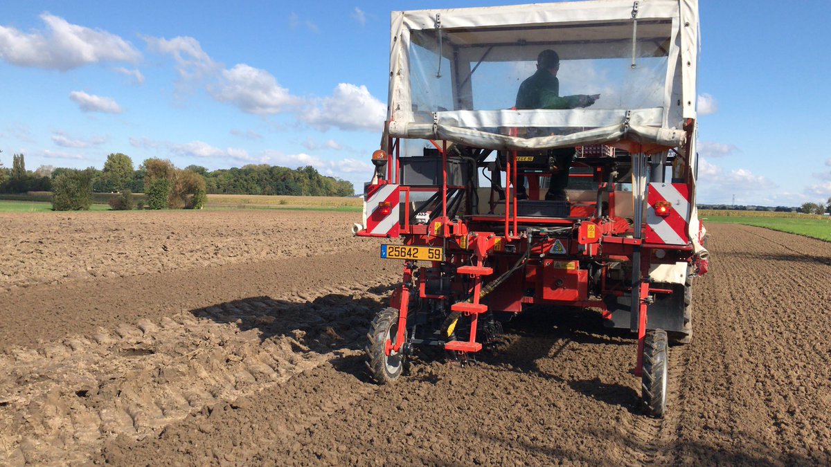 Semis des orges d’hiver !!
Jour 2 chez <a href="/GroupeFDesprez/">Florimond Desprez</a> 🌱

Ici on multiplie les variétés en première année d’inscription au catalogue français ☀️👍