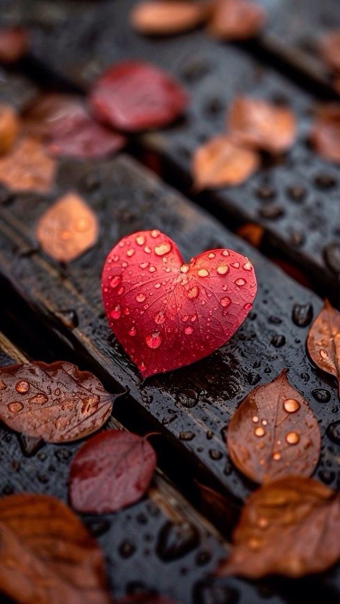 한결 같은
마음으로

누군가를 사랑하는 일은

진짜로 그 사람을 사랑하고
진실하지 않으면 불가능한 일야..

누군가를
정말 사랑할수 있는 일은

흔한일이 아니야..

-지나간다 다지나간다1.2-