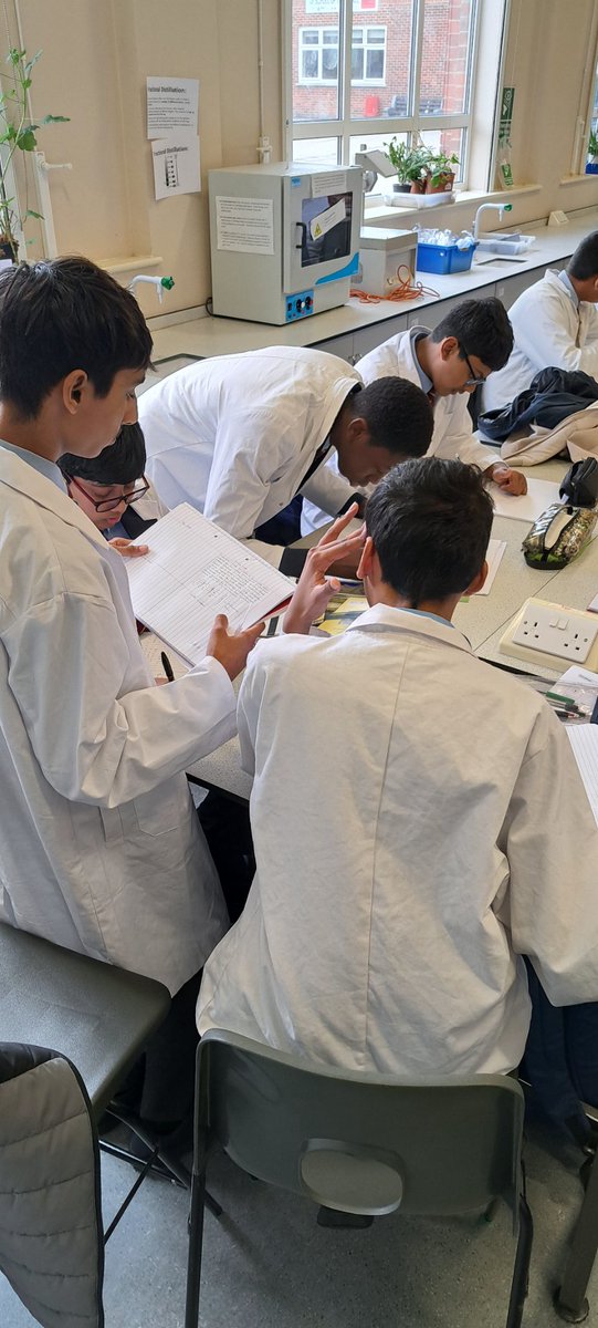 MissHarris tweet media