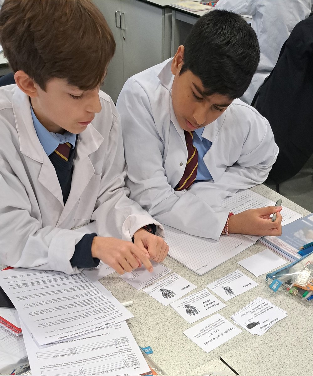 MissHarris tweet media