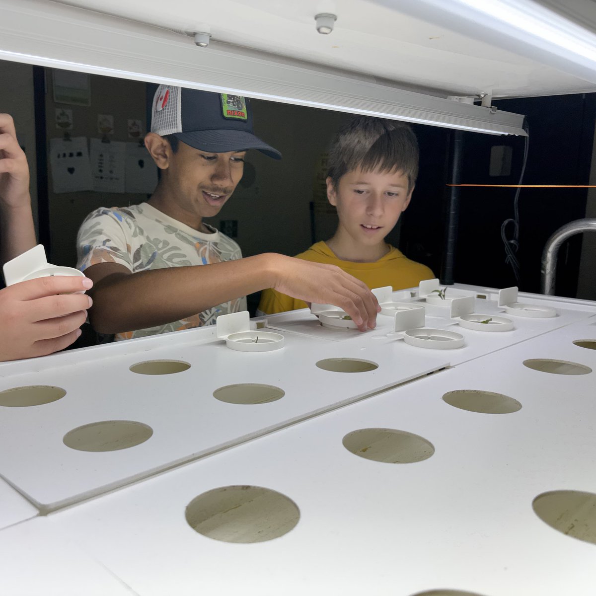 MrPaulFerrara's tweet photo. The @PineGrovePS 7/8s are excited to get our @vireoeducation hydroponics system back up &amp; running for another year! Our students are already planning a year of projects to learn more about urban agriculture &amp; give back to our community #DSBN 🥬🍅🌿 https://t.co/wOLzdOddS1