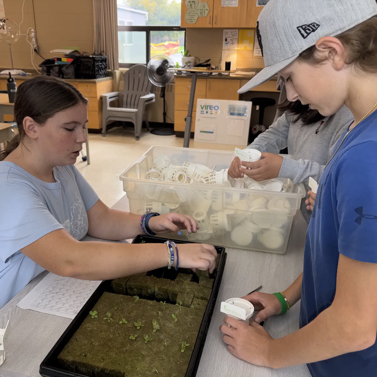 MrPaulFerrara's tweet photo. The @PineGrovePS 7/8s are excited to get our @vireoeducation hydroponics system back up &amp; running for another year! Our students are already planning a year of projects to learn more about urban agriculture &amp; give back to our community #DSBN 🥬🍅🌿 https://t.co/wOLzdOddS1