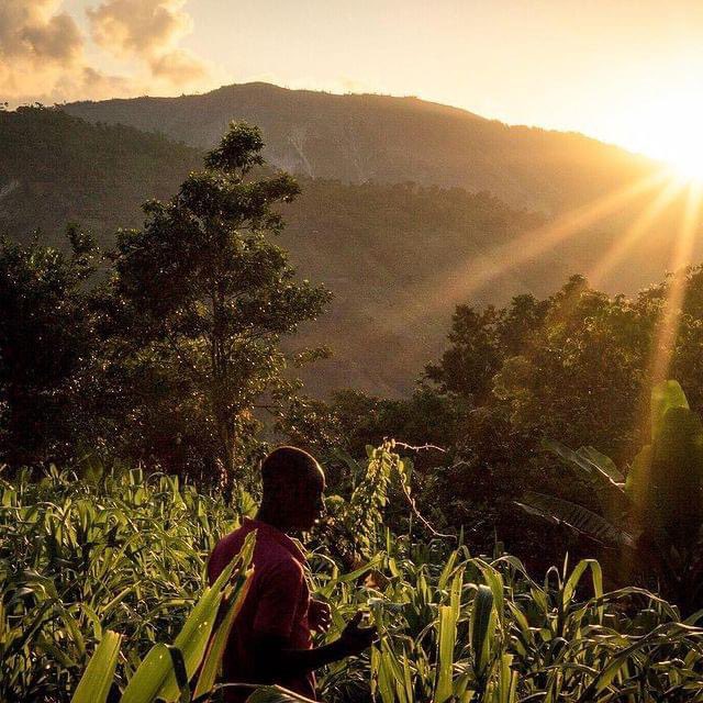 Bonjou peyi Ayiti 🇭🇹📍

the sun rises in Haiti 🇭🇹