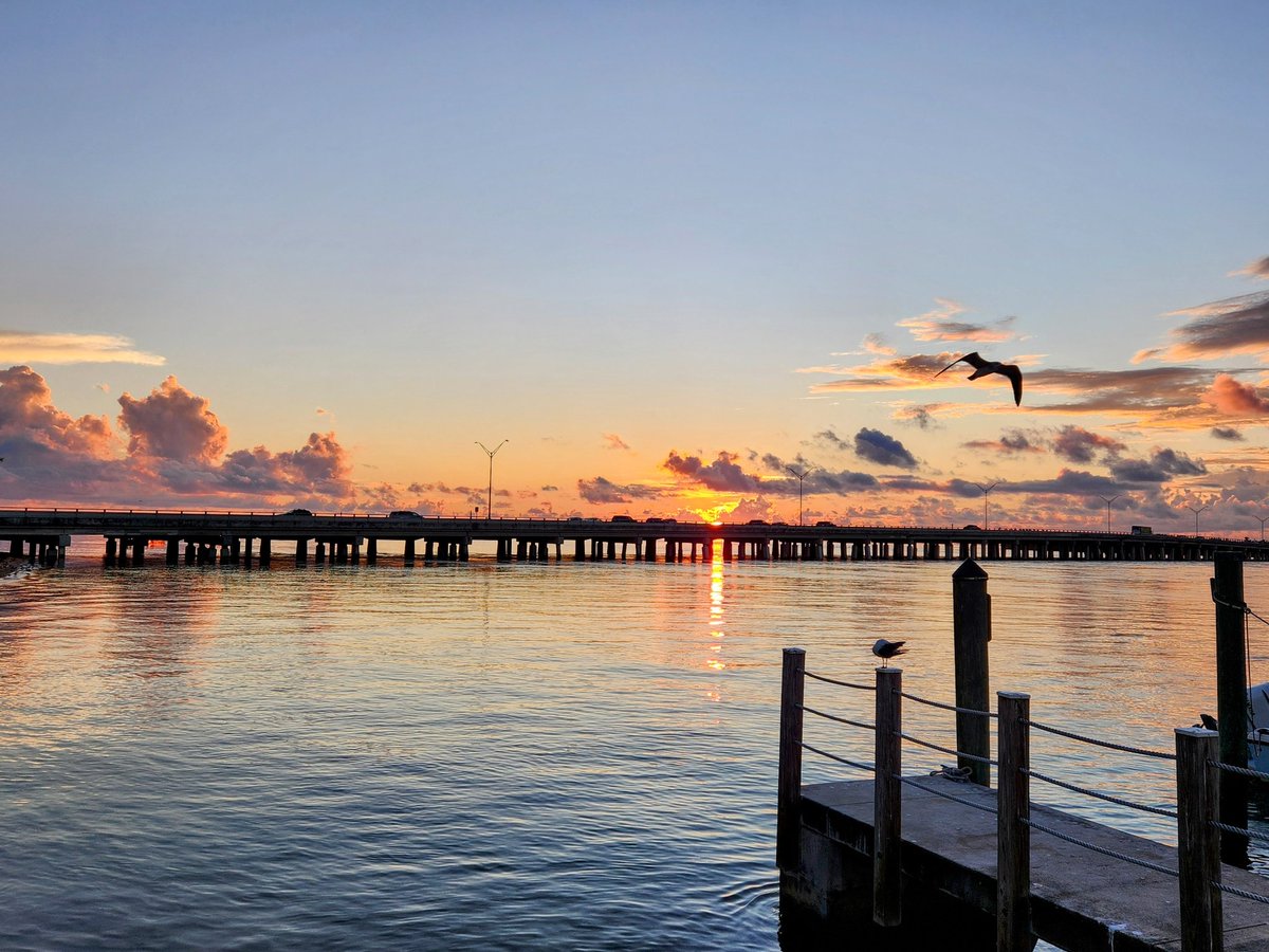 Brian McNoldy tweet media