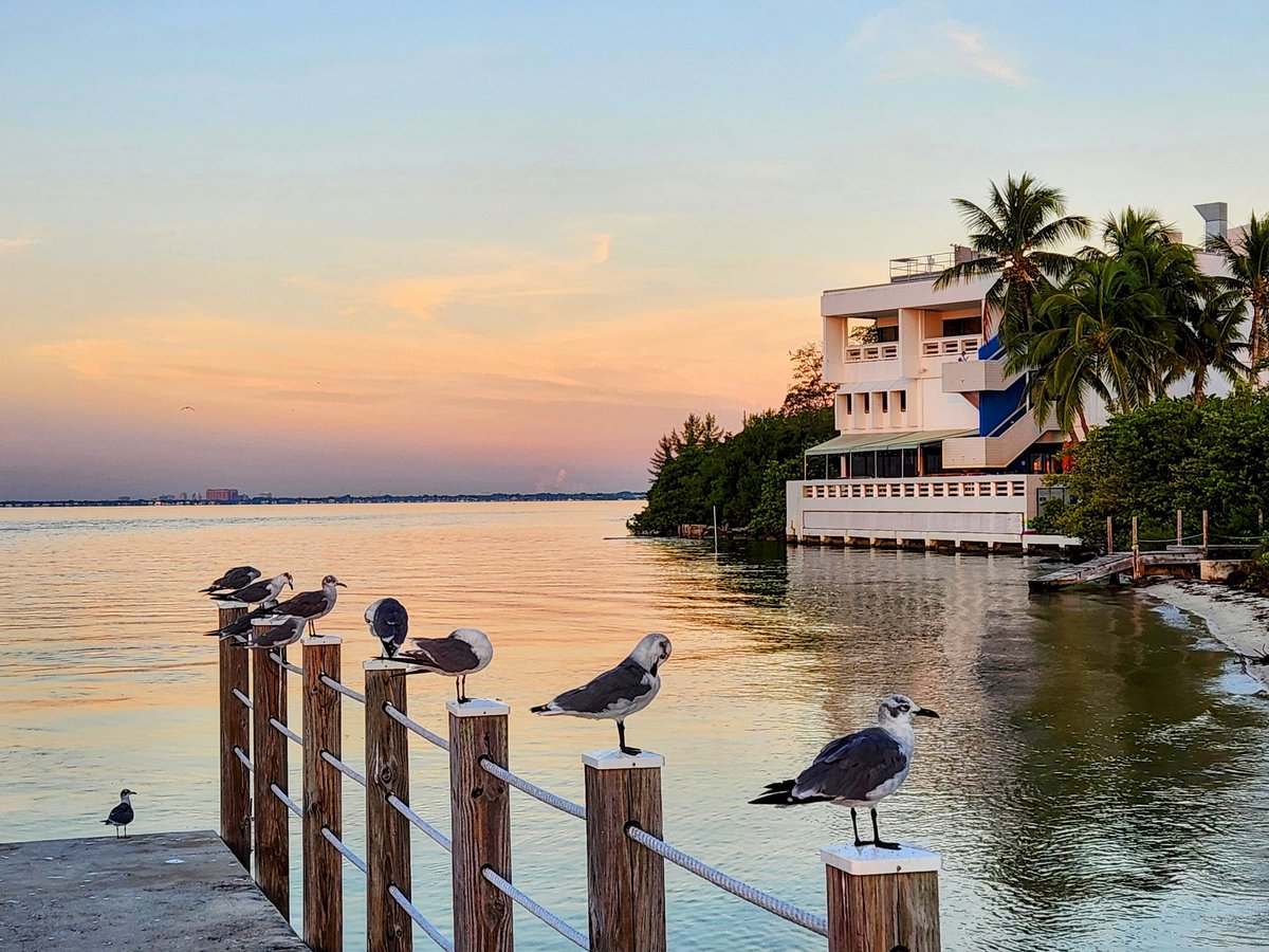 Brian McNoldy tweet media