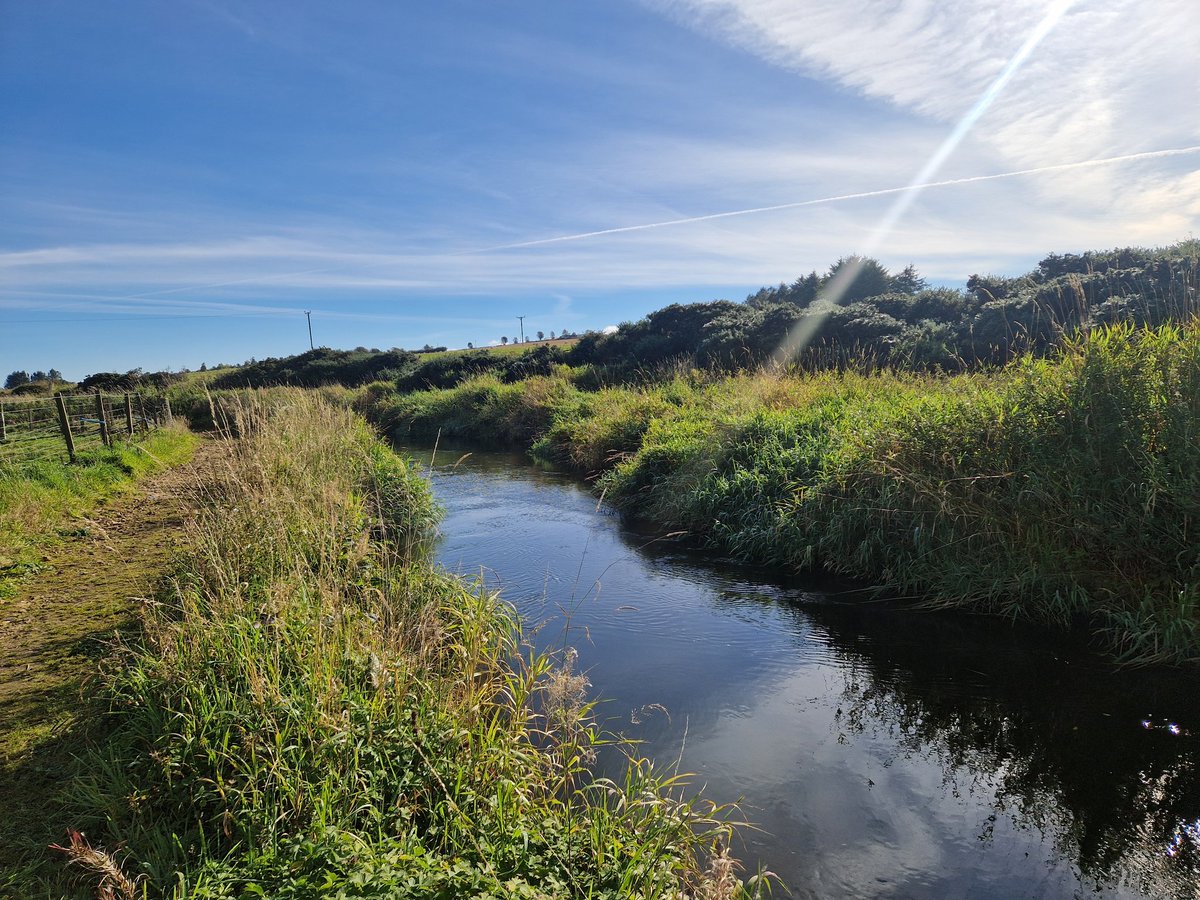 abzpaul's tweet image. Hello #Mintlaw What a lovely day!
#aberdeenshire #Scotland #loveukweather