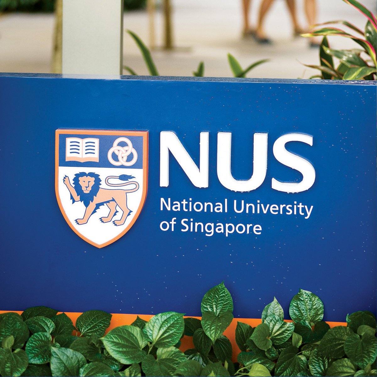 The curriculum of the Accelerated Management Program (AMP) from NUS Business School is designed to enable you to benefit from the emerging growth opportunities in the world of business. This journey will transform you into a high-performing leader. Visit tinyurl.com/59h8h64b