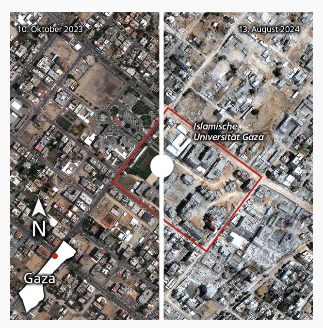 Iris Spiegelberger tweet media