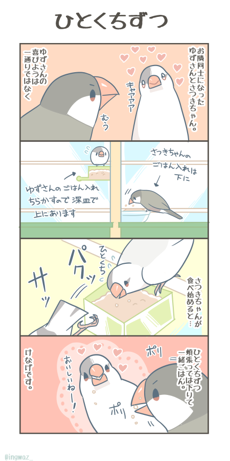 ひとくちずつ。

#Buncho #文鳥
 #漫画が読めるハッシュタグ 