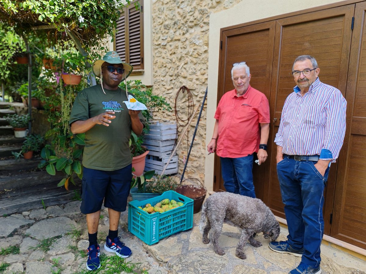 Willis Owino tweet media