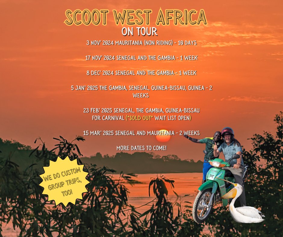 Scoot West Africa tweet media