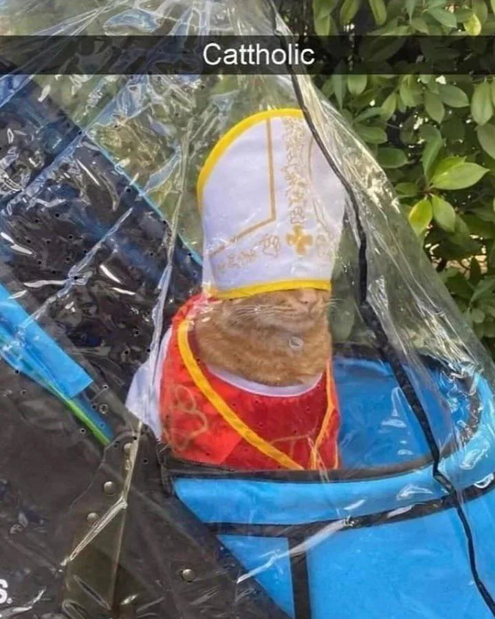 the Cat Pope blesses you and wishes you good noms.
