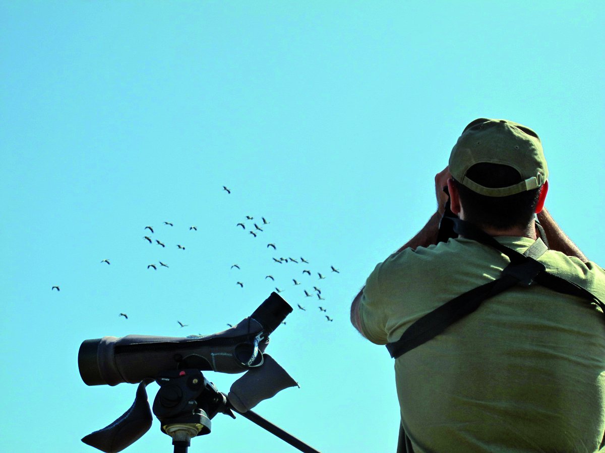 👉Ezagutu Iratiren gainetik hegan egiten duten hegazti migratzaileak!
👉Découvrez les oiseaux migrateurs qui survolent Irati!
👉Descubre las aves migratorias que sobrevuelan Irati!
🔽🔽🔽
trektellen.org/site/totals/21…

#irati #birdwatching #migracion #birdsmigration