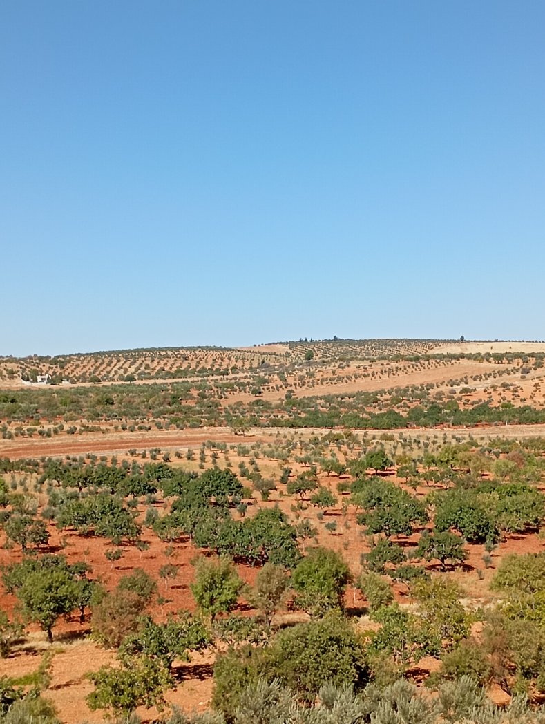 Onkoloji bu dağda var ya neler yapılır bir bilsen.. aktif