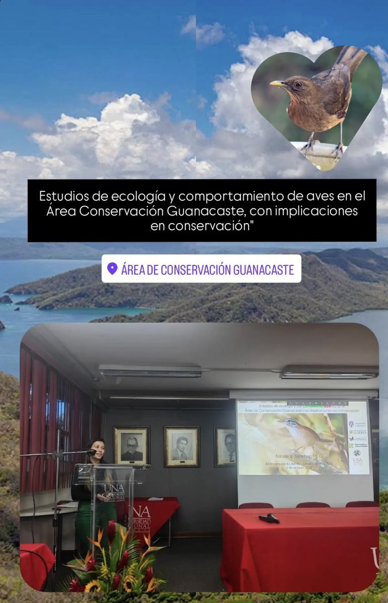 Thank you <a href="/ICOMVIS/">ICOMVIS</a> for the invitation to share my postdoc research in the 40th Anniversary Celebration! Happy to meet with old and new friends and colleagues 🇨🇷🇨🇦🎶🦜🐦‍⬛🦉