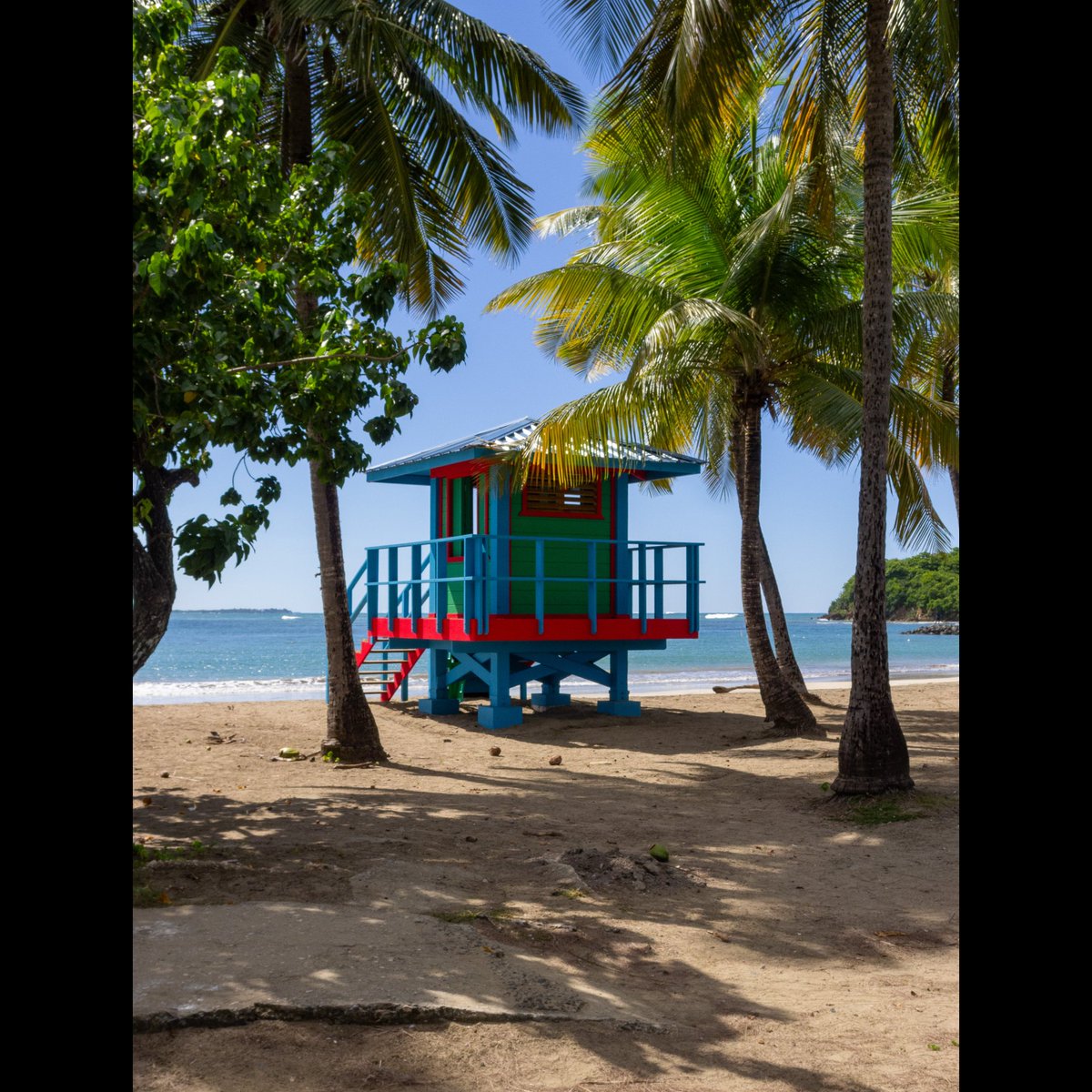 edleethompson's tweet image. Good morning!
.
#CCD #OlympusXZ1 #CCDsensor #olympusphotography #olympus #olympusccd