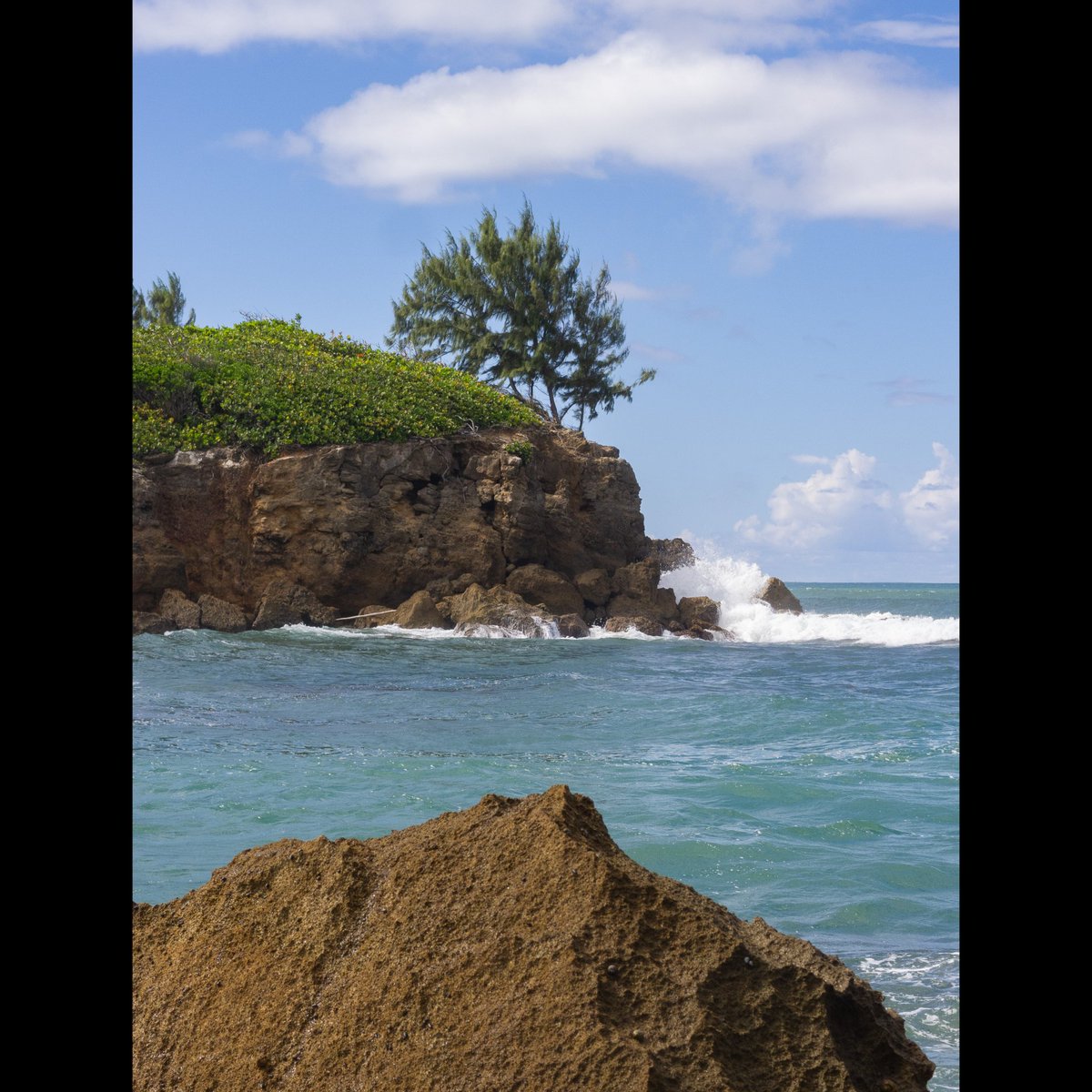 edleethompson's tweet image. Good morning!
.
#CCD #OlympusXZ1 #CCDsensor #olympusphotography #olympus #olympusccd