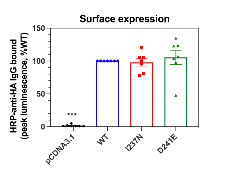 The_JBMR's tweet photo. Researchers in this #JBMR article report two new cases of Eiken syndrome, an extremely #rare genetic disorder of skeletal development, sharing the exact same change in the PTH1R gene @jakobhoeppner @moiracheung @moiracheung @OUPMedicine

Read more here: https://t.co/hxsO50upeA https://t.co/1IWCN3UQUX