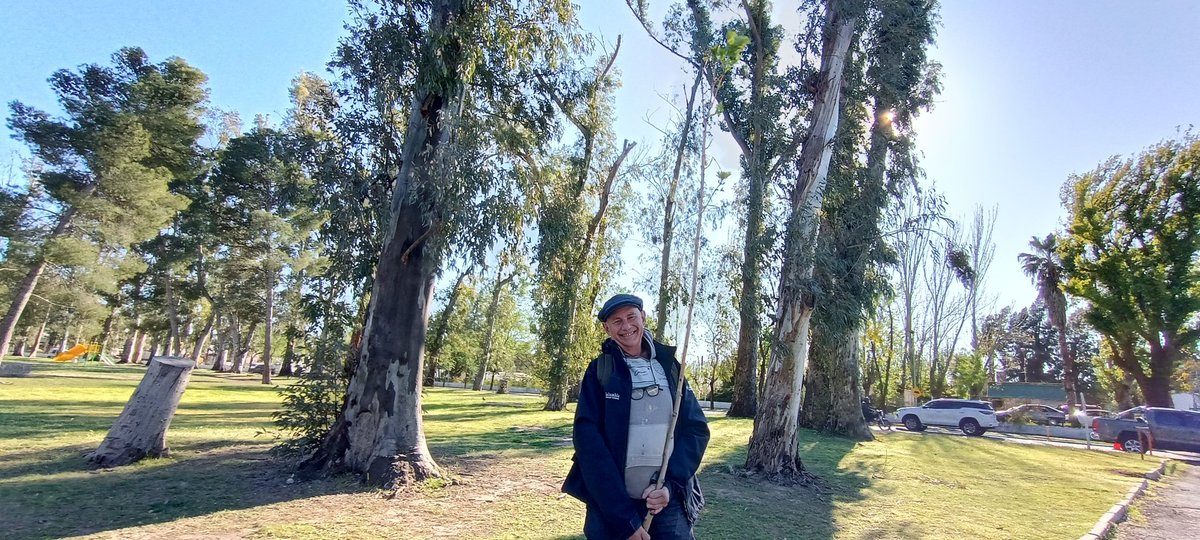 leonardovalente's tweet photo. Te gusta el "automac"? 
Bueno, ahora en Bahía tenemos el AutoArbol: vas al vivero del parque, te tramitan la especie que te toca para tu cuadra, entras con el auto y te la llevas, más rápido que un cuarto de libra!
Impecable organización. https://t.co/GUOUQVCfsm