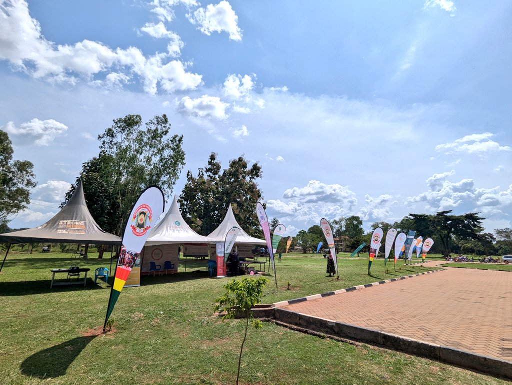 Uganda Counselling Association (UCA) tweet media