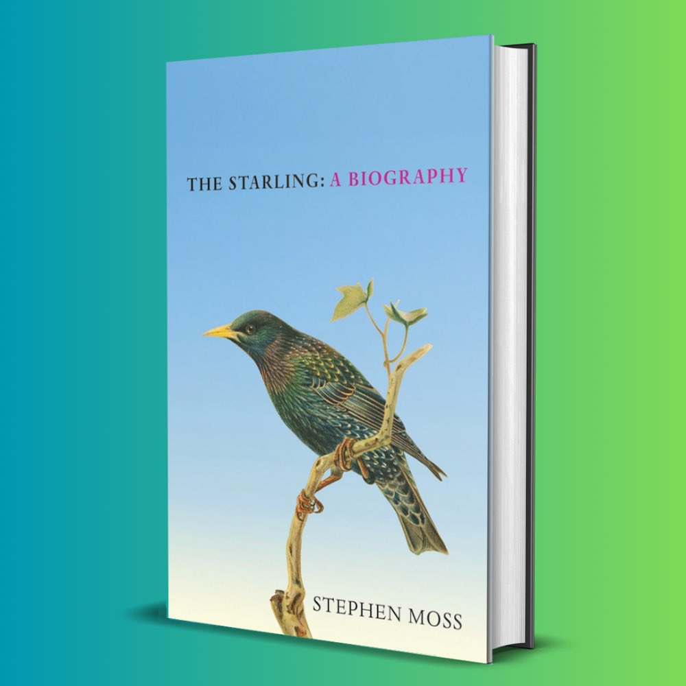 DHH Literary Agency (@dhhlitagency) on Twitter photo Happy publication day to <a href="/StephenMoss_TV/">Stephen Moss</a> - THE STARLING has officially flown the nest and is published today. This is the 6th in Moss’ ‘Biography’ series.
shorturl.at/X97qz Happy publication day to <a href="/StephenMoss_TV/">Stephen Moss</a> - THE STARLING has officially flown the nest and is published today. This is the 6th in Moss’ ‘Biography’ series.
shorturl.at/X97qz
