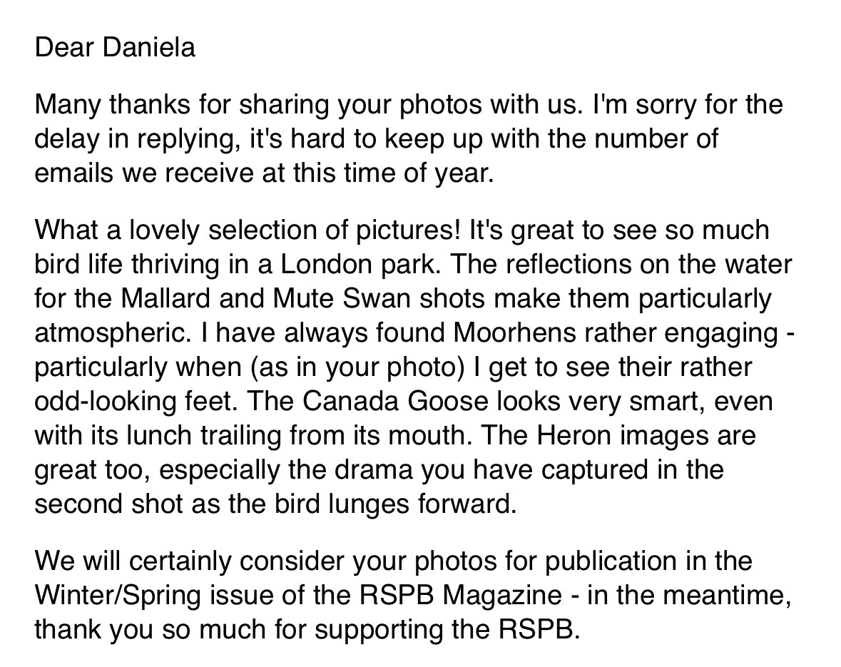 Daniela Horta (she/her) tweet media