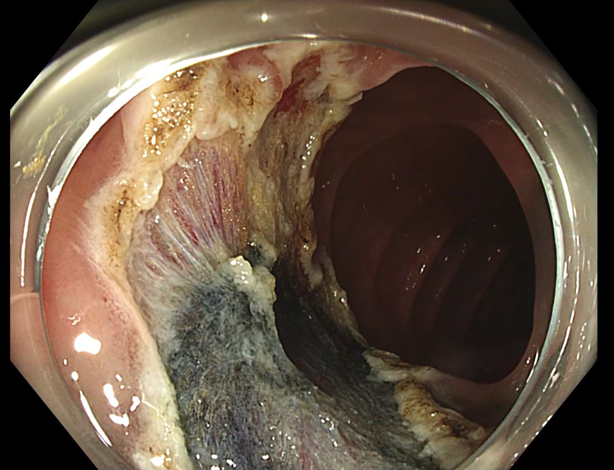 Pedro J. Rosón tweet media