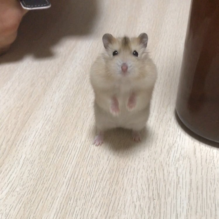 お…