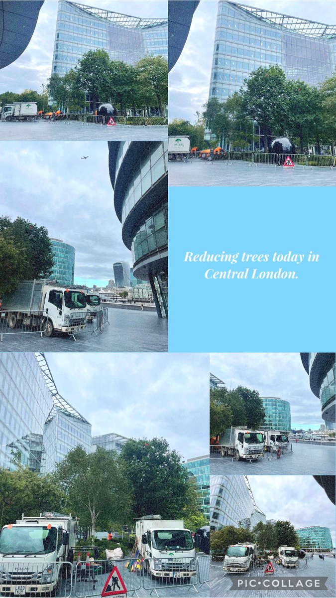 #SaveTheTrees #StopDeforestation #PlantMoreTree#ProtectForests #ForestConservatio #GreenPlanet #GoGreen #TreesForFuture #SustainableForestry#ReduceTreeCutting #ConserveNature #EcoFriendlyLiving#ProtectThePlanet#TreeProtection