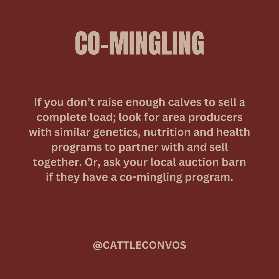 Cattle feeders – weigh in on the conversation and share your perspective to help ranchers understand what matters to you👇