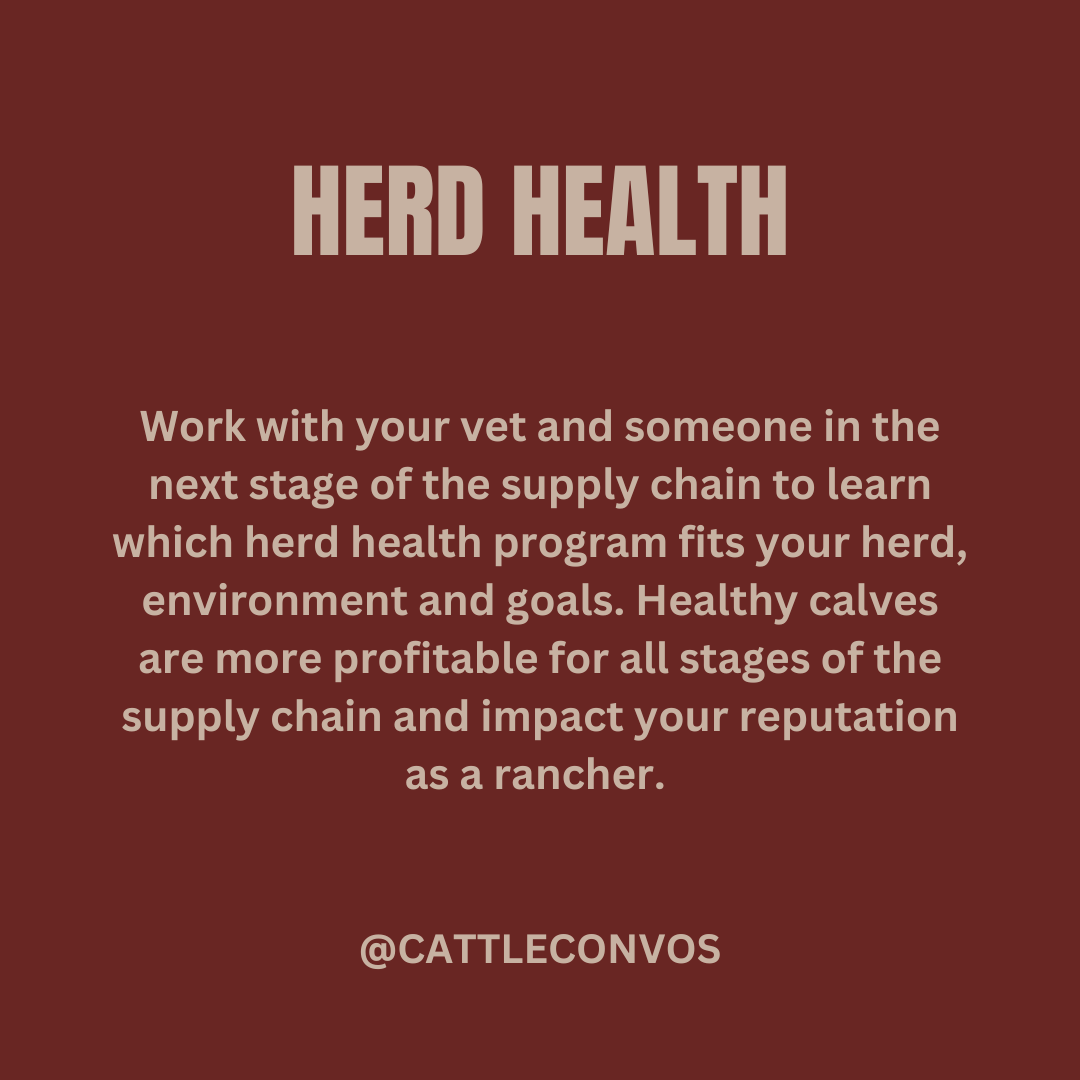 cattleconvos's tweet photo. Cattle feeders – weigh in on the conversation and share your perspective to help ranchers understand what matters to you👇 https://t.co/Pm7aRcjoZl