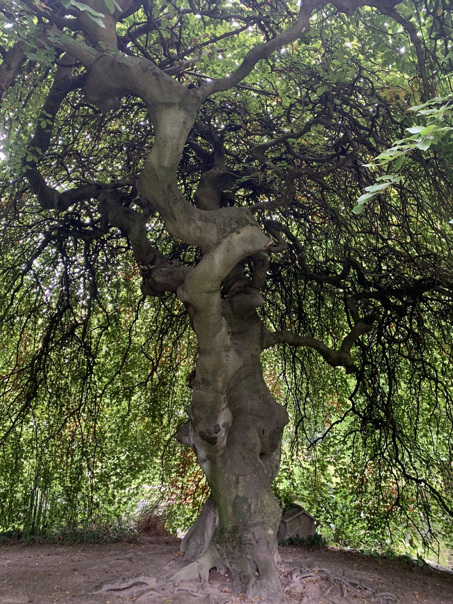 Charlotte d’Harcourt tweet media