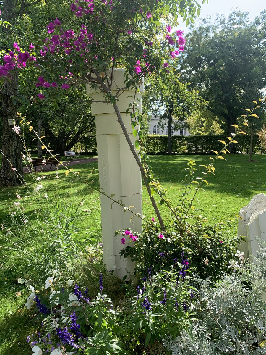 Charlotte d’Harcourt tweet media