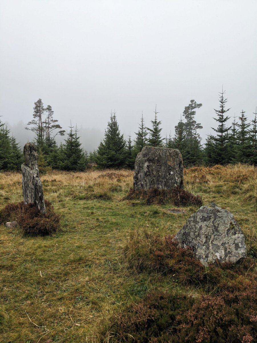 Paddy Adamson tweet media