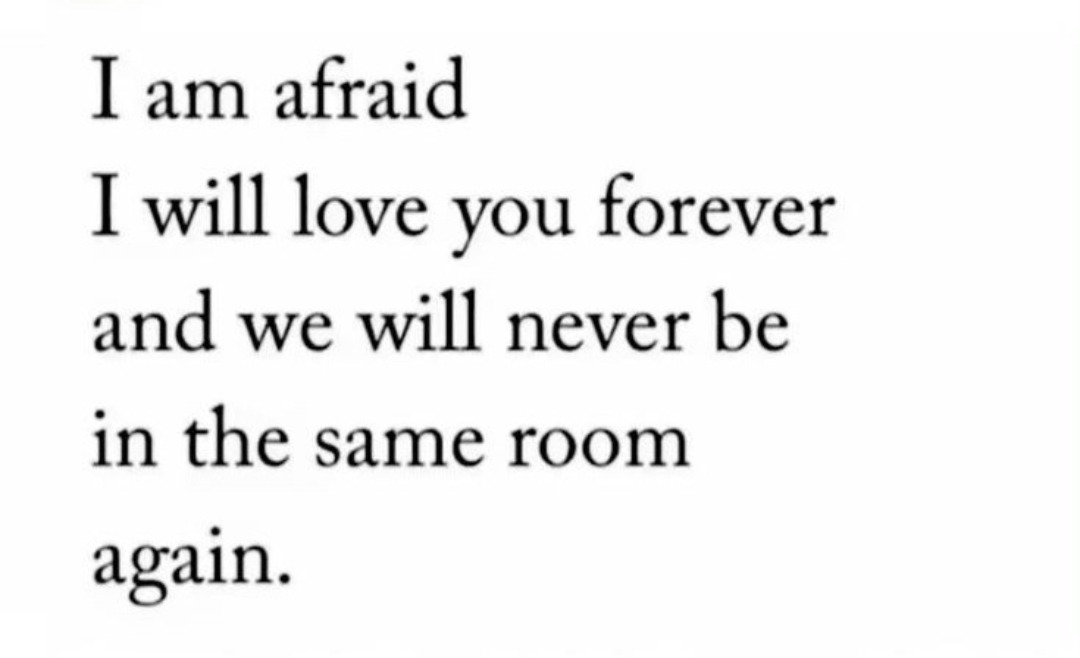 Synexdoche (@amor_fatti) on Twitter photo 