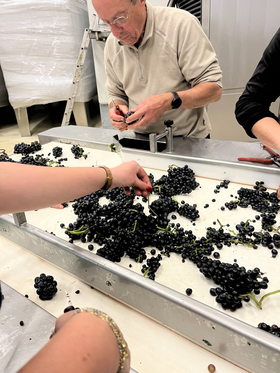 Caroline PARENT GROS tweet media