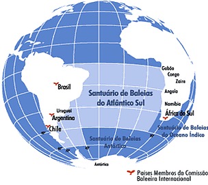 #SalvemosLasBallenas: La semana que viene en Lima, el Océano Atlántico Sur podría convertirse en un Santuario para las ballenas.