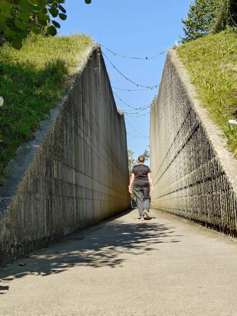 Douwe Bilder tweet media