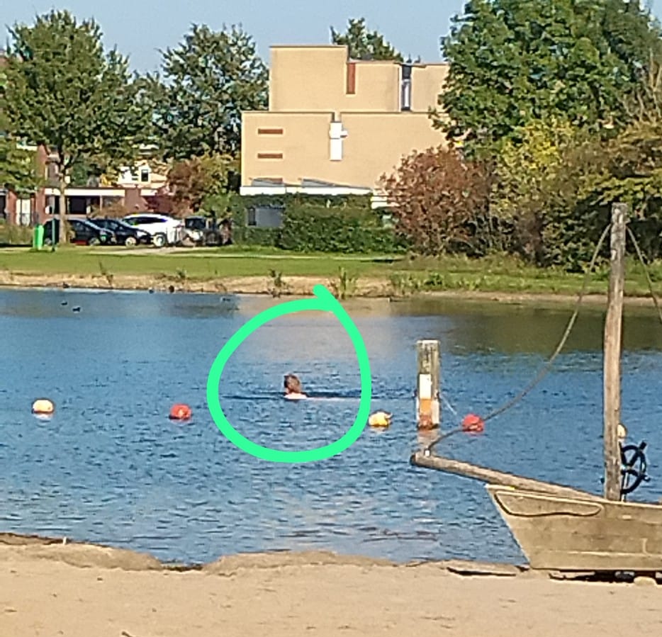 Douwe Bilder tweet media